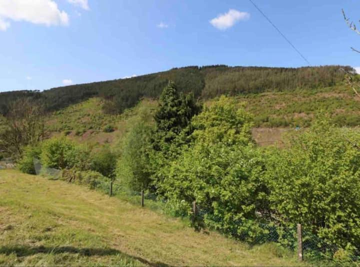 Villa Afan House Pontrhydyfen Esterno foto